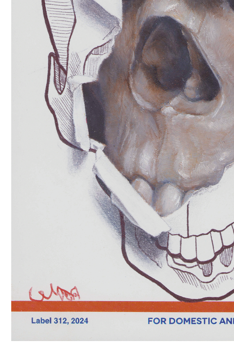 137. Skull by Nick Apple