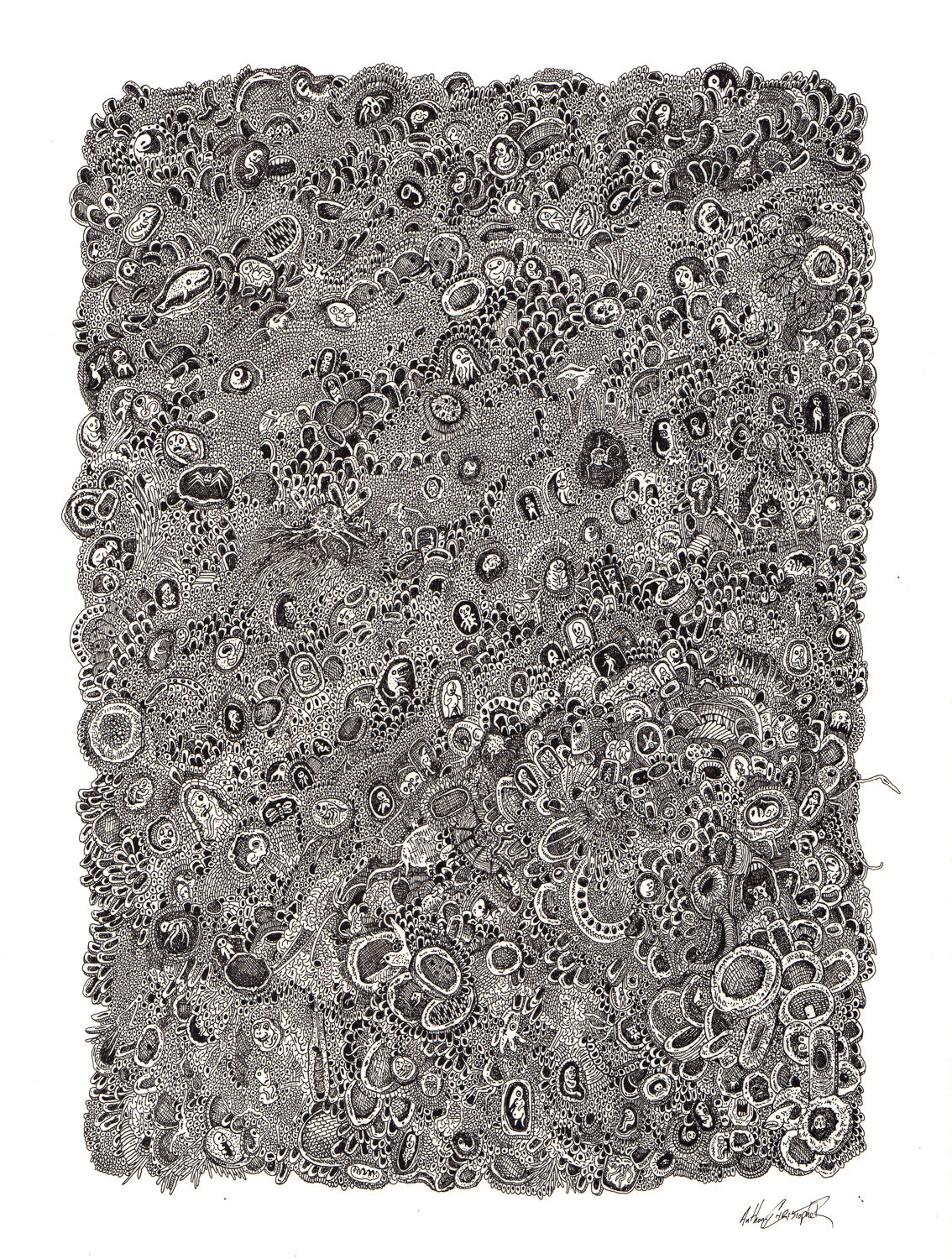 "Cells" by Anthony Christopher
