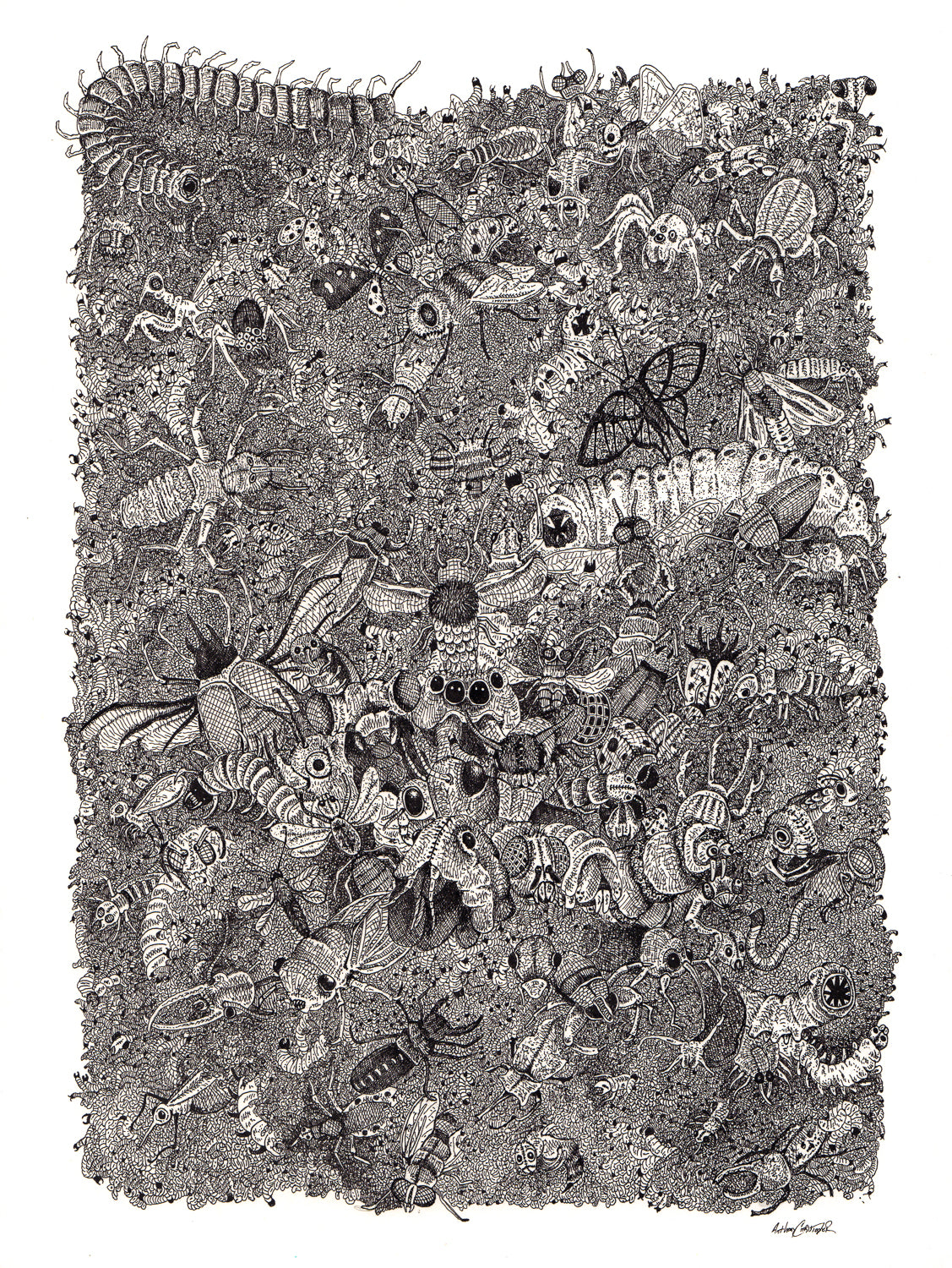 "Entomophobia (Fear of Insects)" by Anthony Christopher
