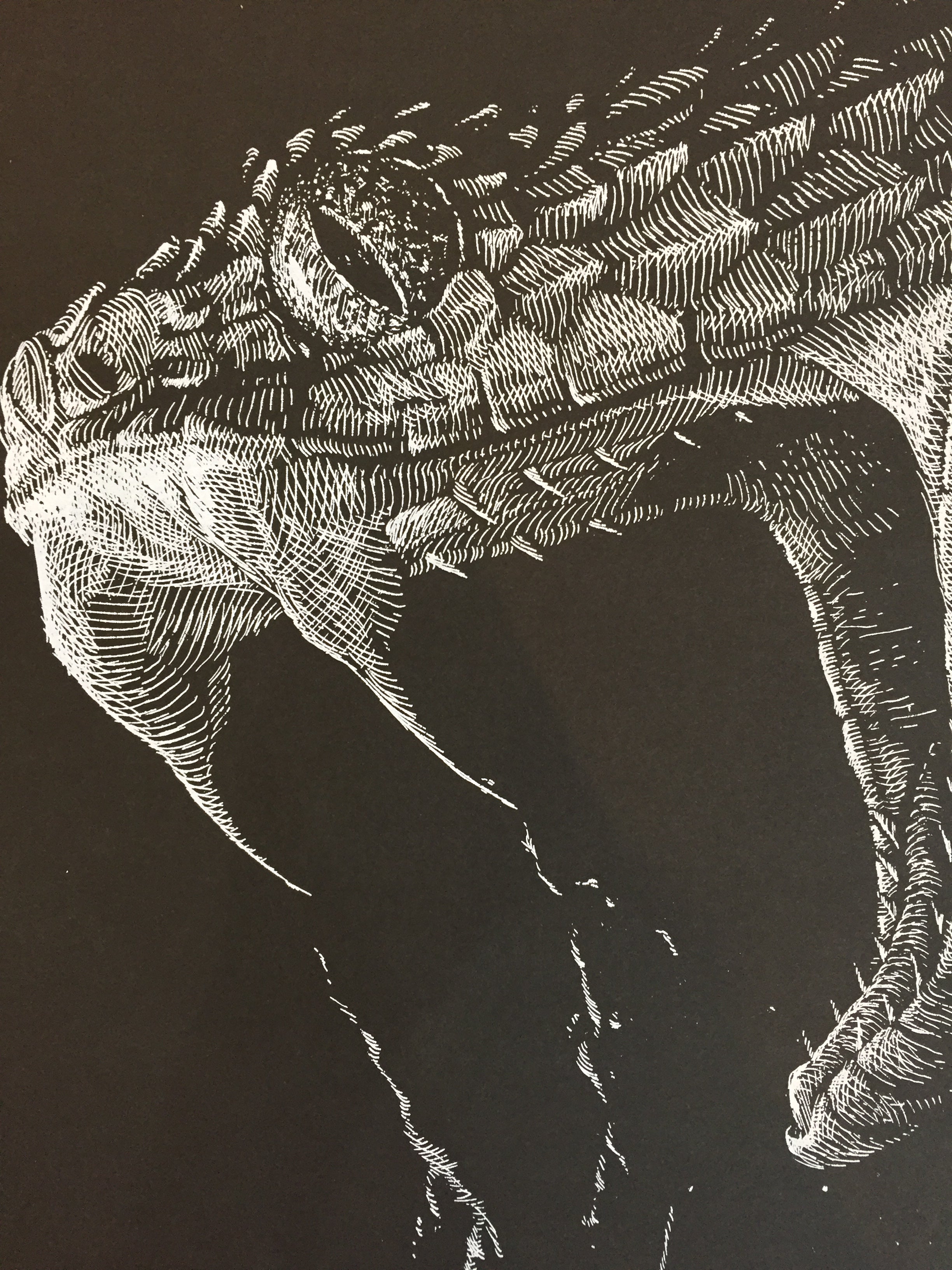 "Snake" by Janta Island