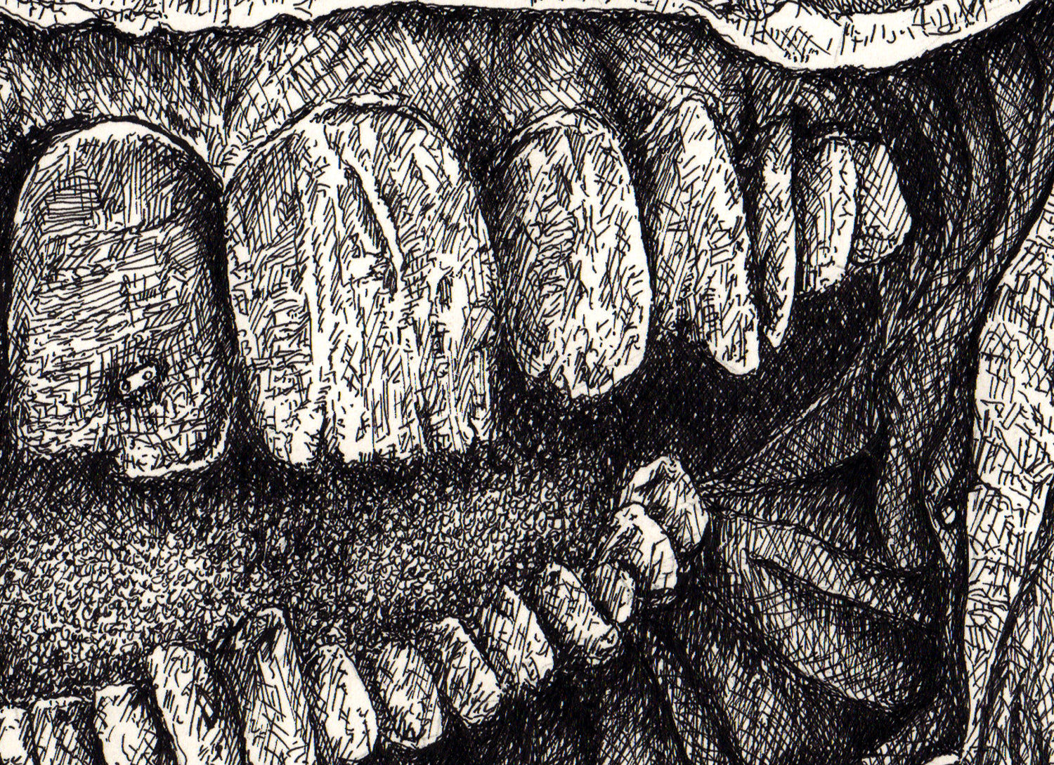 "Teeth" by Anthony Christopher