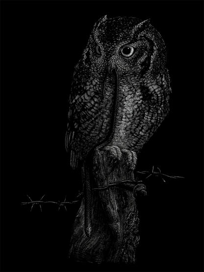 "Owl" by Janta Island
