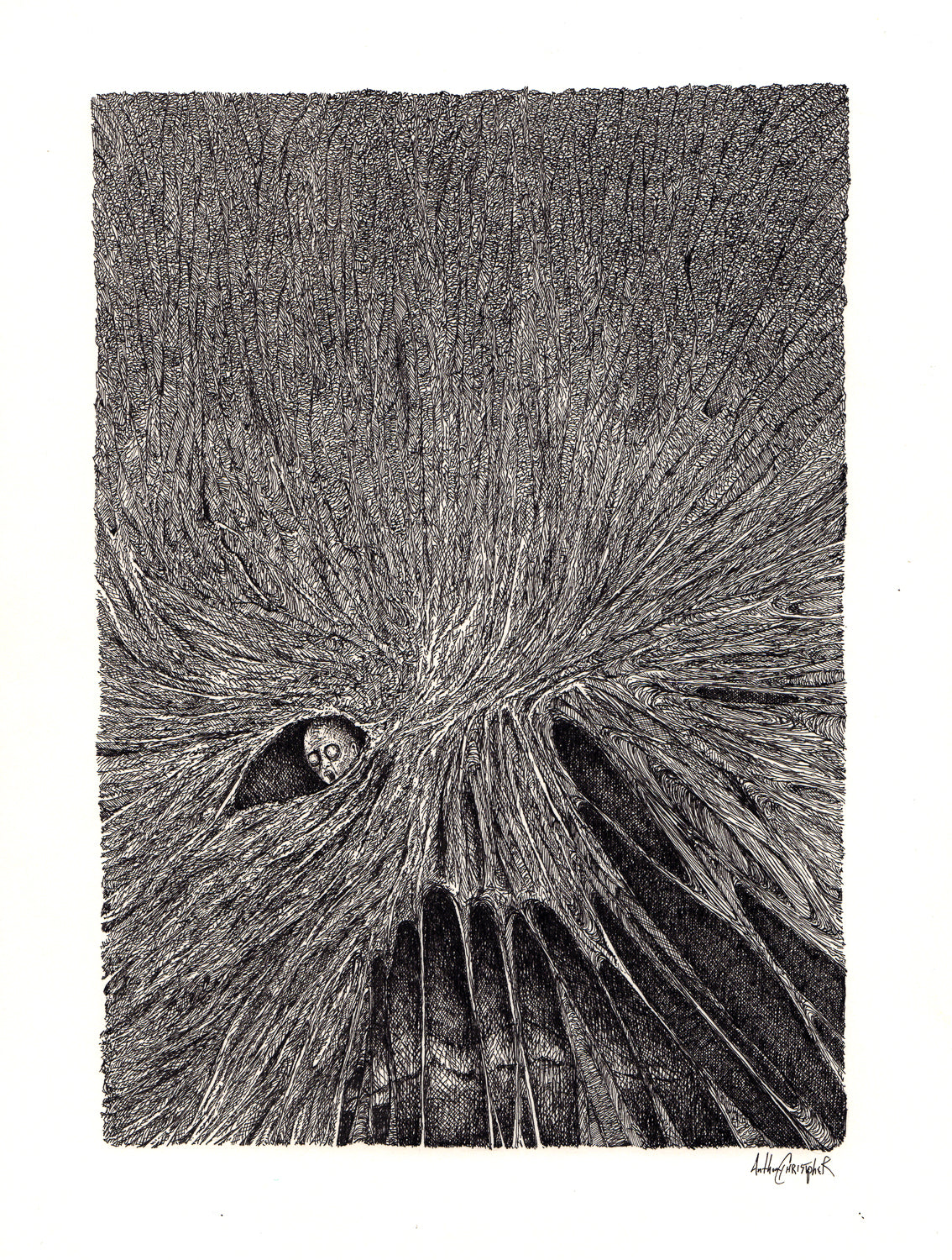 "Sarah Feels Like" by Anthony Christopher