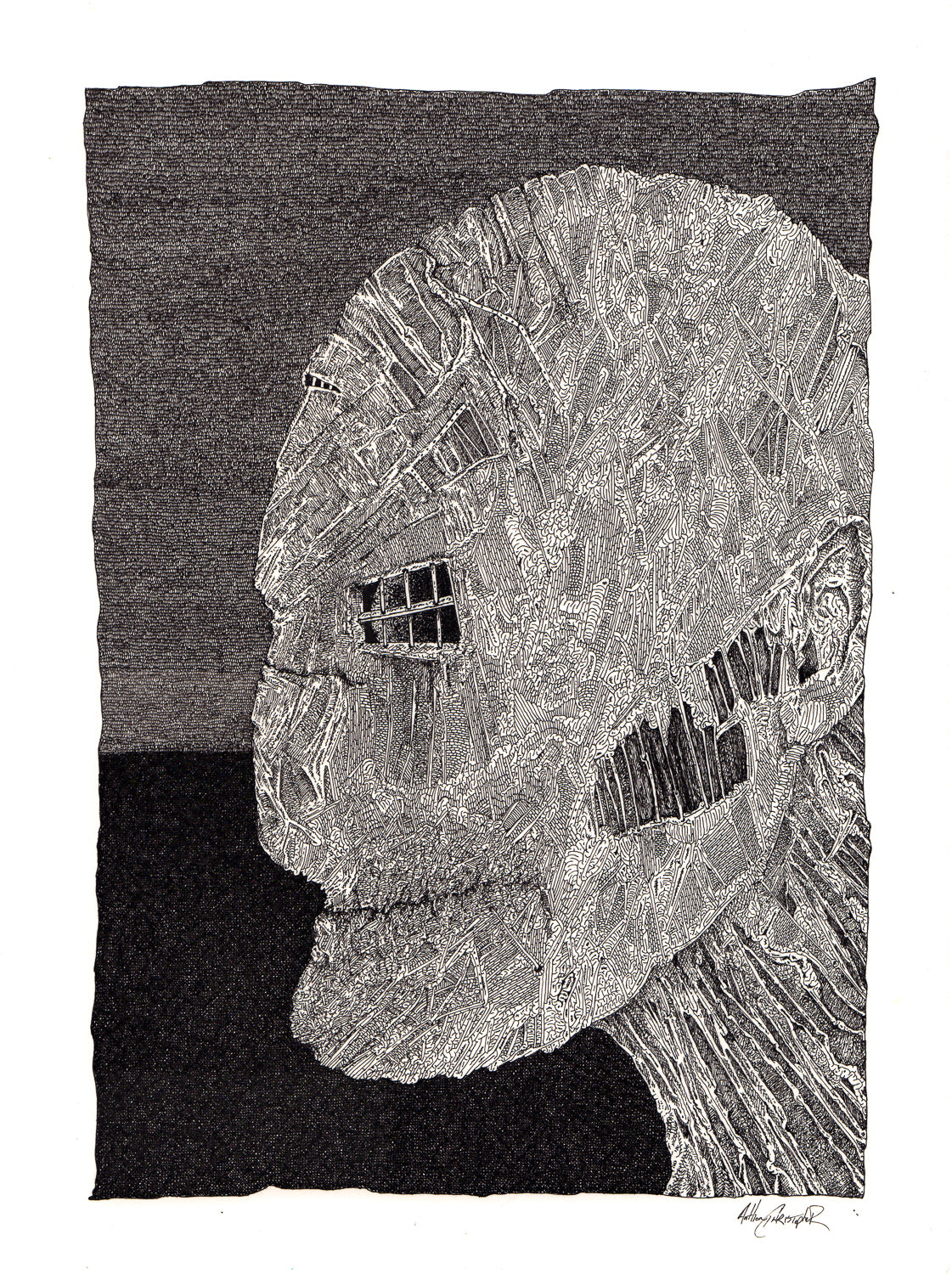 "The Effects of Incarceration" by Anthony Christopher