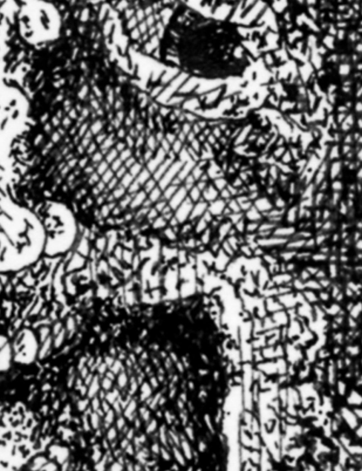 "Face 12" by Anthony Christopher