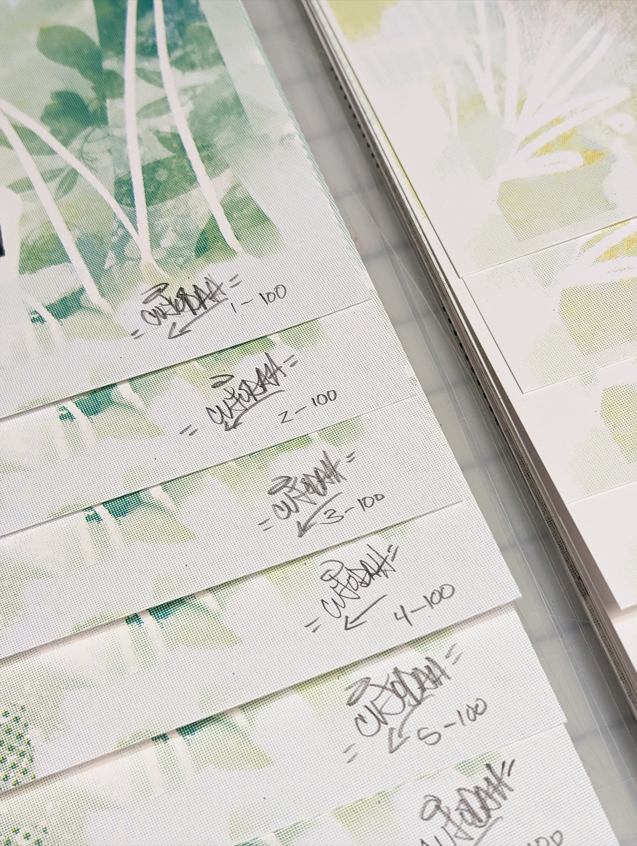 "Trail for a Spell" for the Bloomingdale Trail Poster Series by Cujo