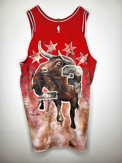 "Hall of Bulls" Jersey by Chuck Styles