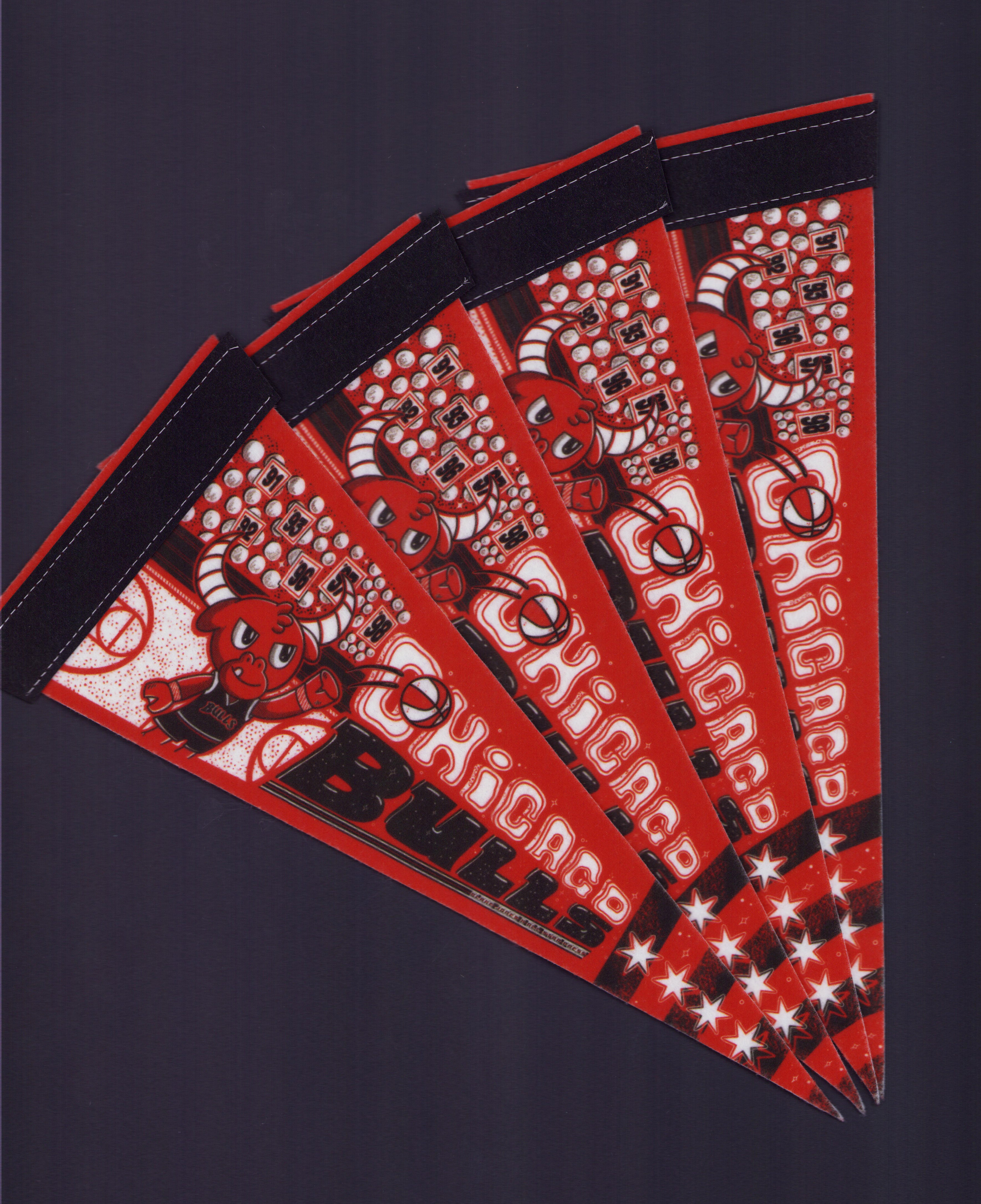 Bulls Pennant by Blake Jones