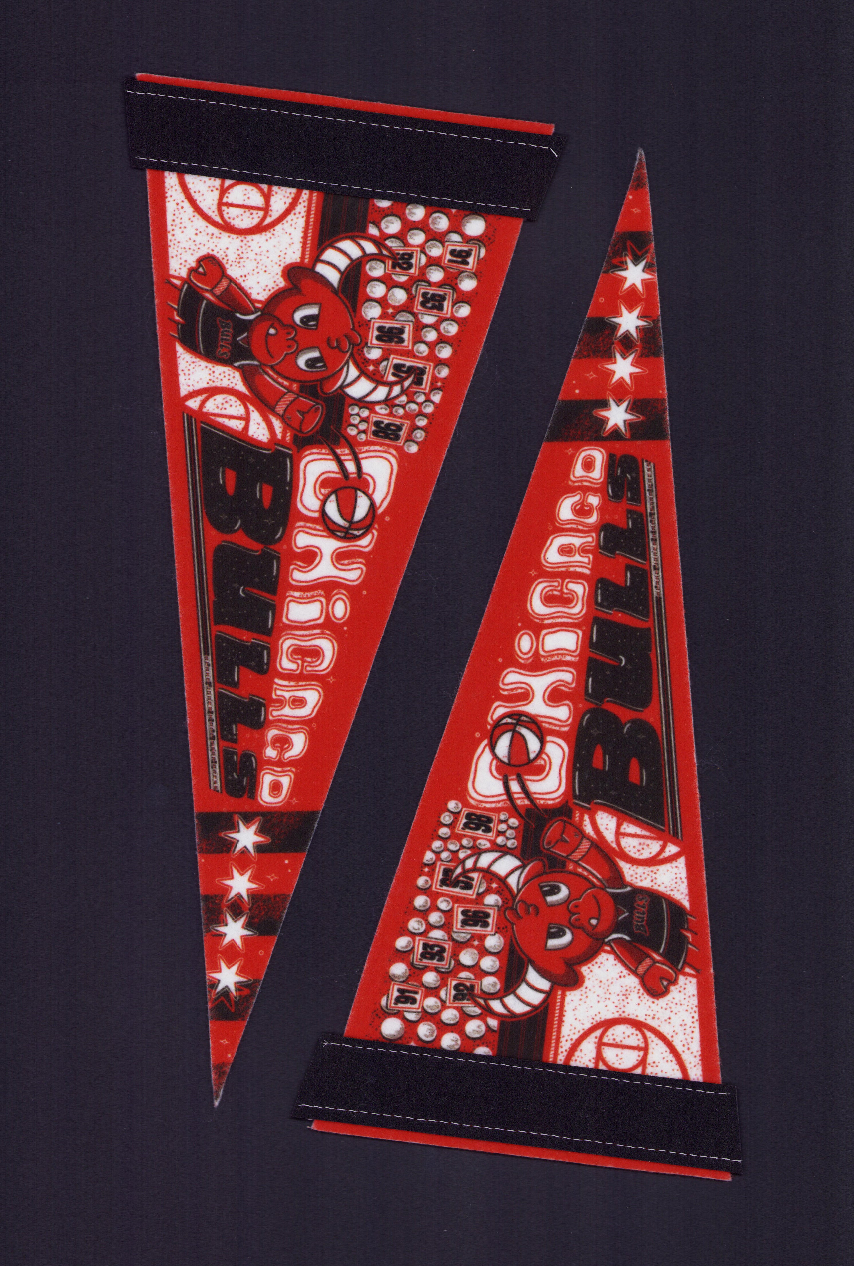 Bulls Pennant by Blake Jones