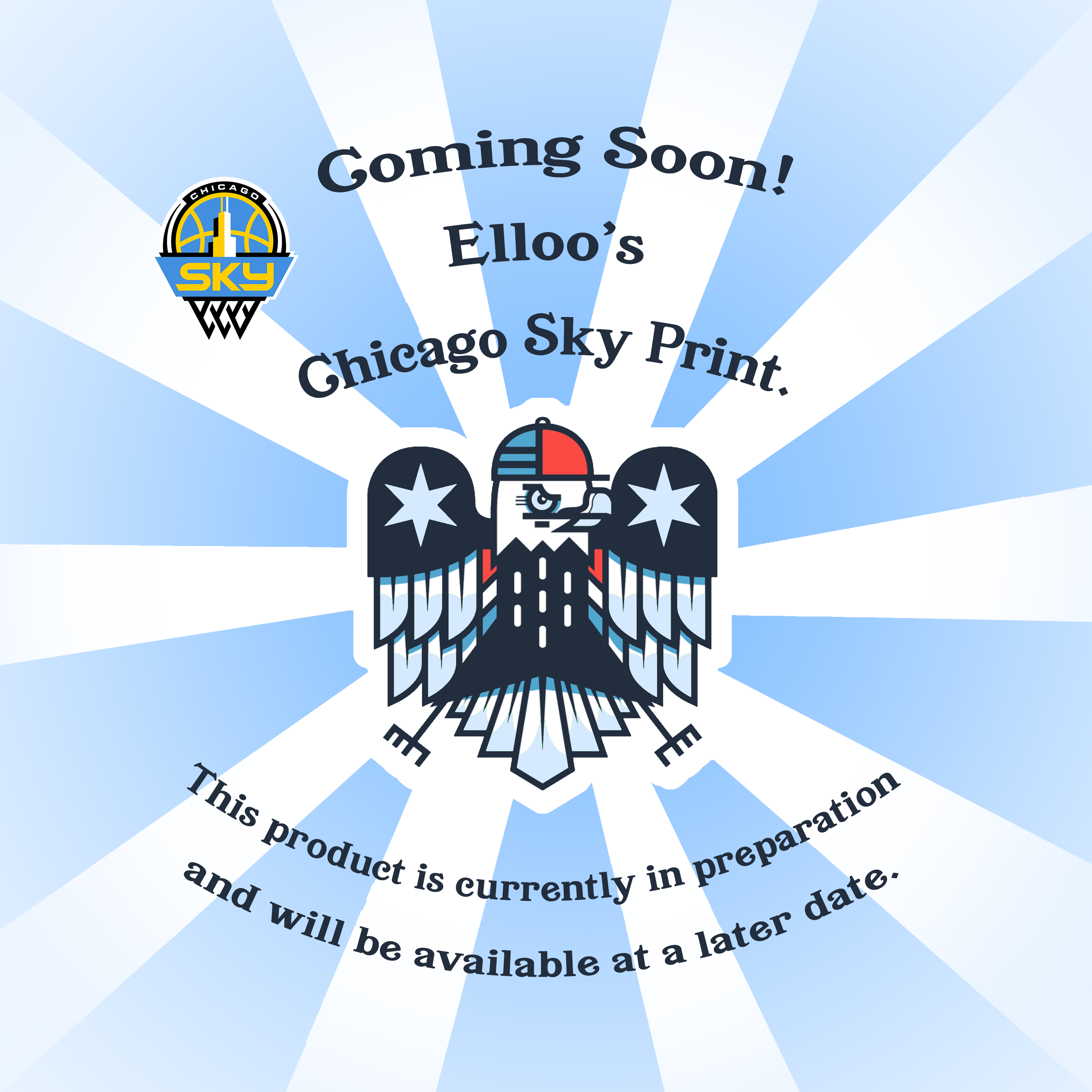 Elloo's Chicago Sky print