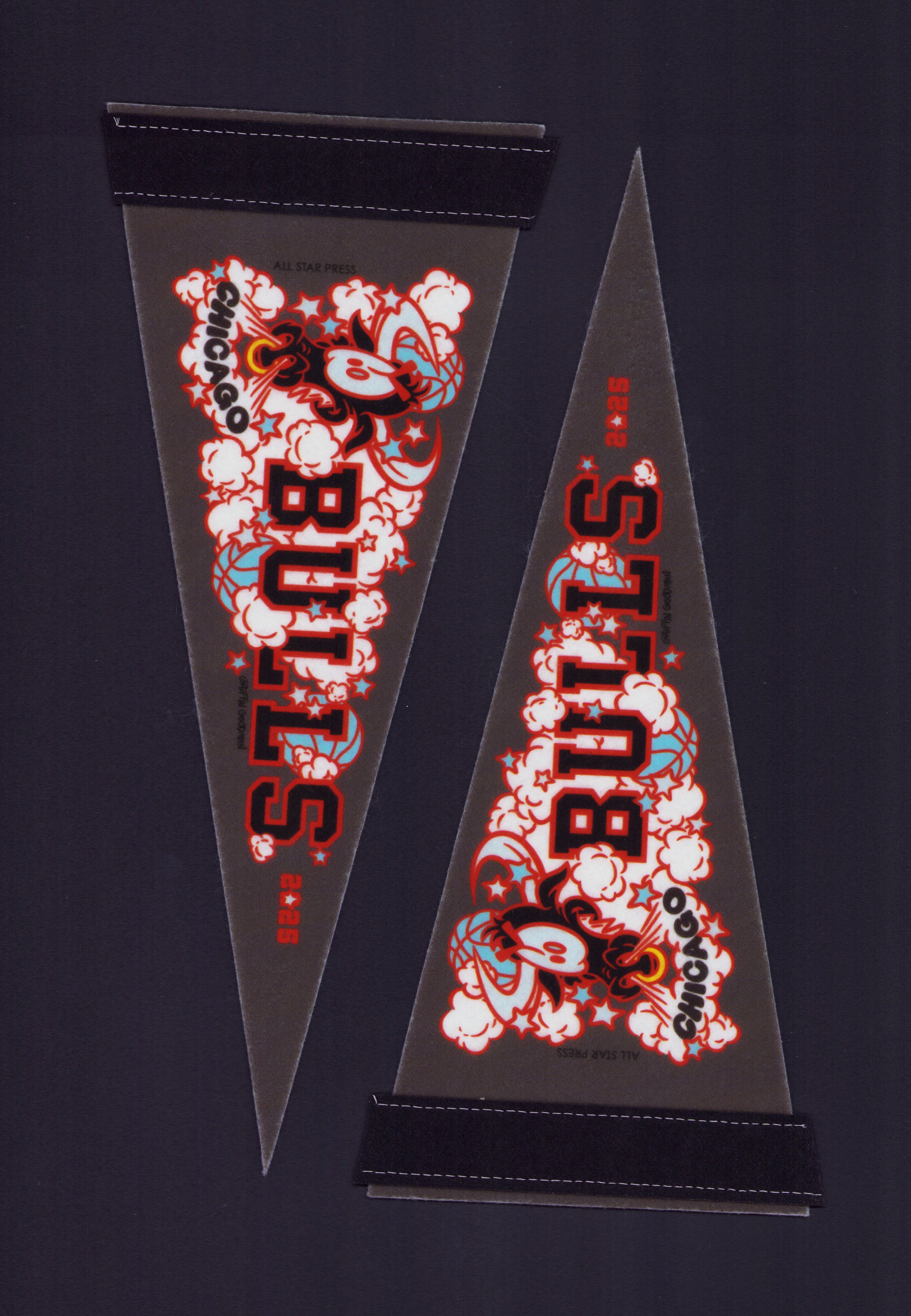 Bulls Pennant by Griffin Goodman