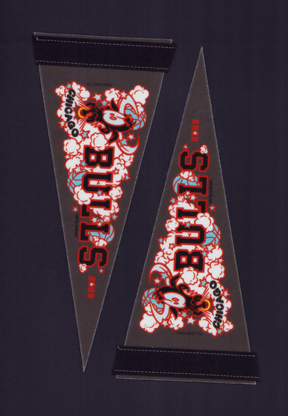 Bulls Pennant by Griffin Goodman