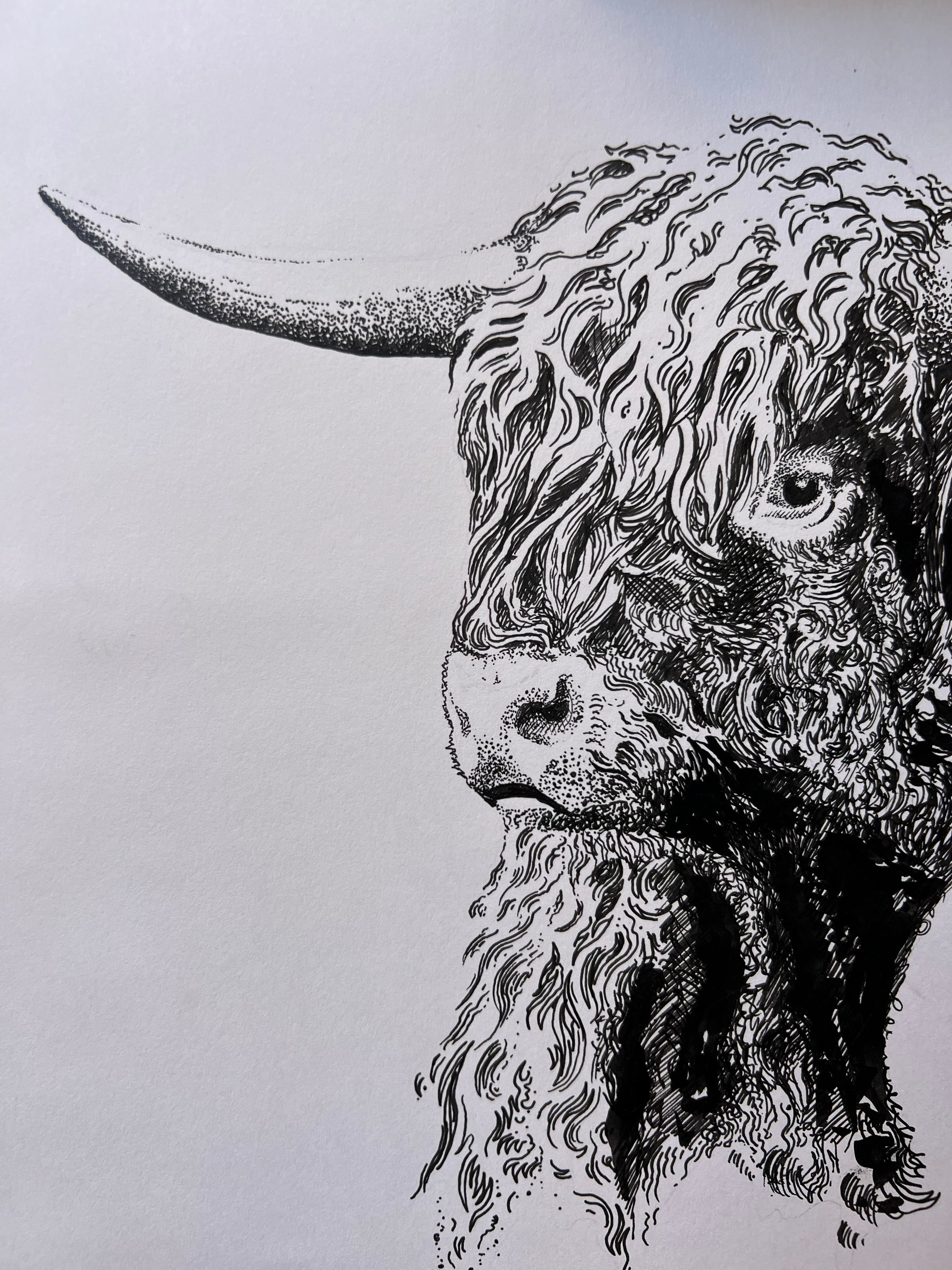 "Taurus: The Bull" by Mac Blackout