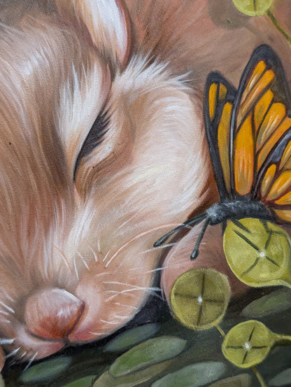 "Looking in" by Morgan Nicolette