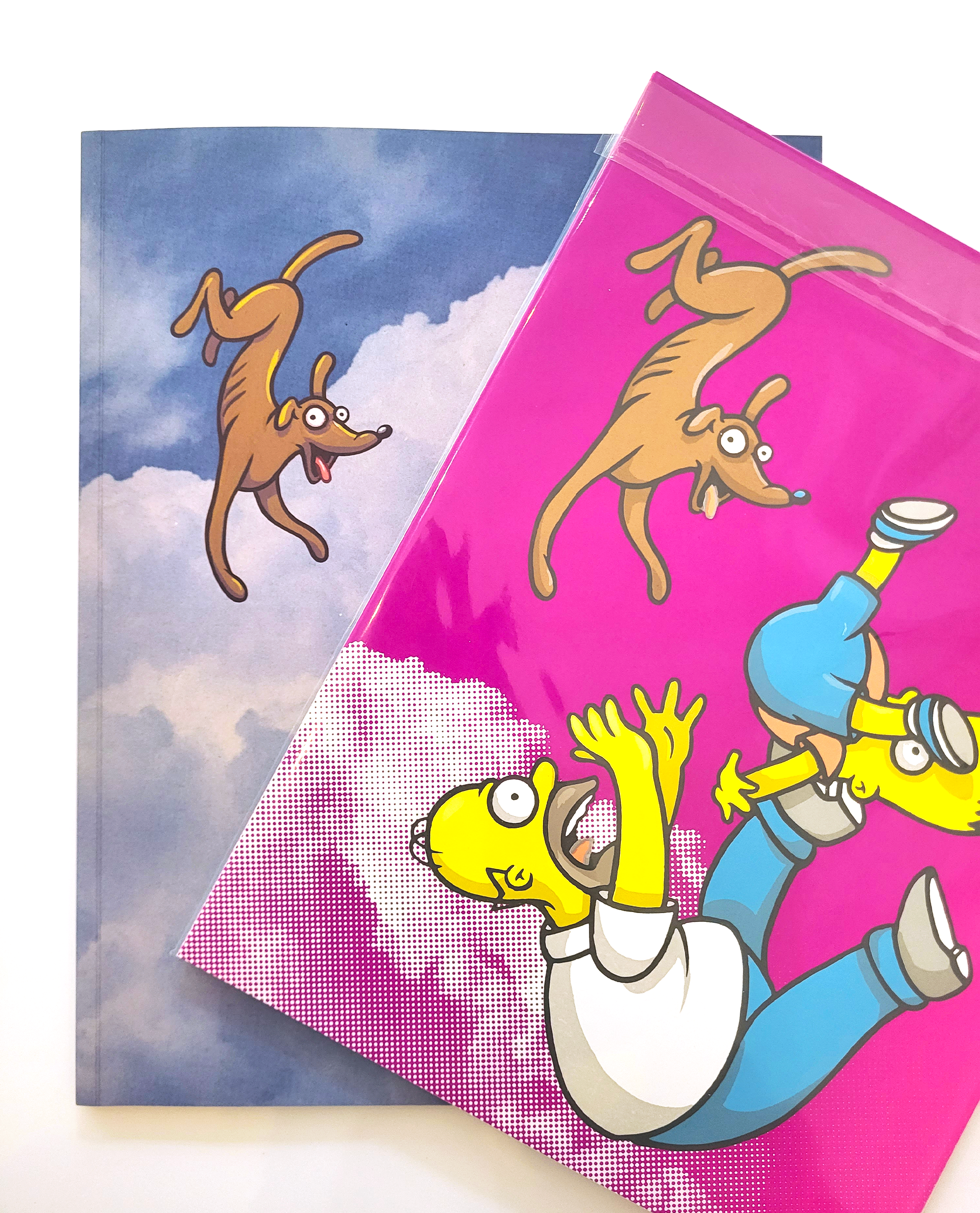 "Head In The Clouds Exhibition Book" + Print Variant by Steve Seeley