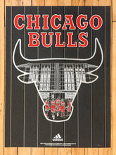 Load image into Gallery viewer, &quot;Officially Licensed Chicago Bulls &#39;19 - &#39;20 Statement&quot; by Zissou Tasseff-Elenkoff
