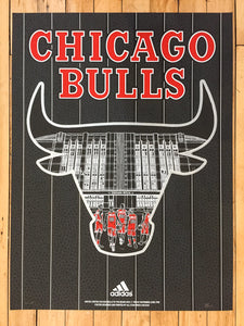 "Officially Licensed Chicago Bulls '19 - '20 Statement" by Zissou Tasseff-Elenkoff