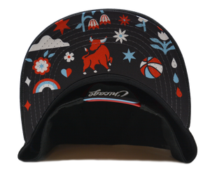 BMO Harris Artist  Hat Series - Ariel Sinha