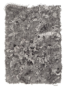 "Entomophobia (Fear of Insects)" by Anthony Christopher