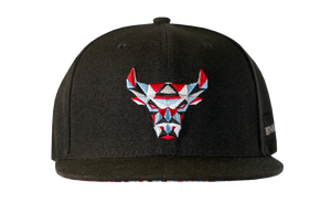 BMO Harris Artist Hat Series - Kate Lewis