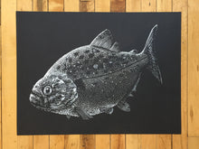 Load image into Gallery viewer, &quot;Piranha&quot; by Janta Island
