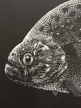 Load image into Gallery viewer, &quot;Piranha&quot; by Janta Island
