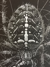 Load image into Gallery viewer, &quot;Spider&quot; by Janta Island
