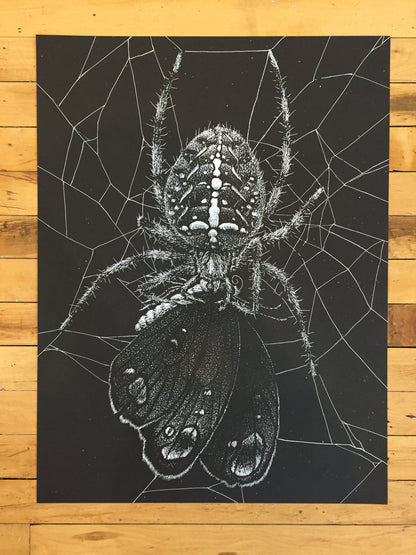 "Spider" by Janta Island