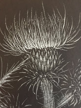 Load image into Gallery viewer, &quot;Thistle&quot; by Janta Island
