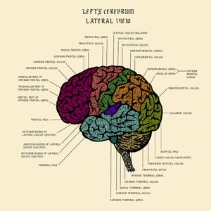 "Your Brain on Drugs" by Lefty Out There