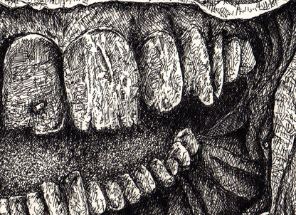 "Teeth" by Anthony Christopher