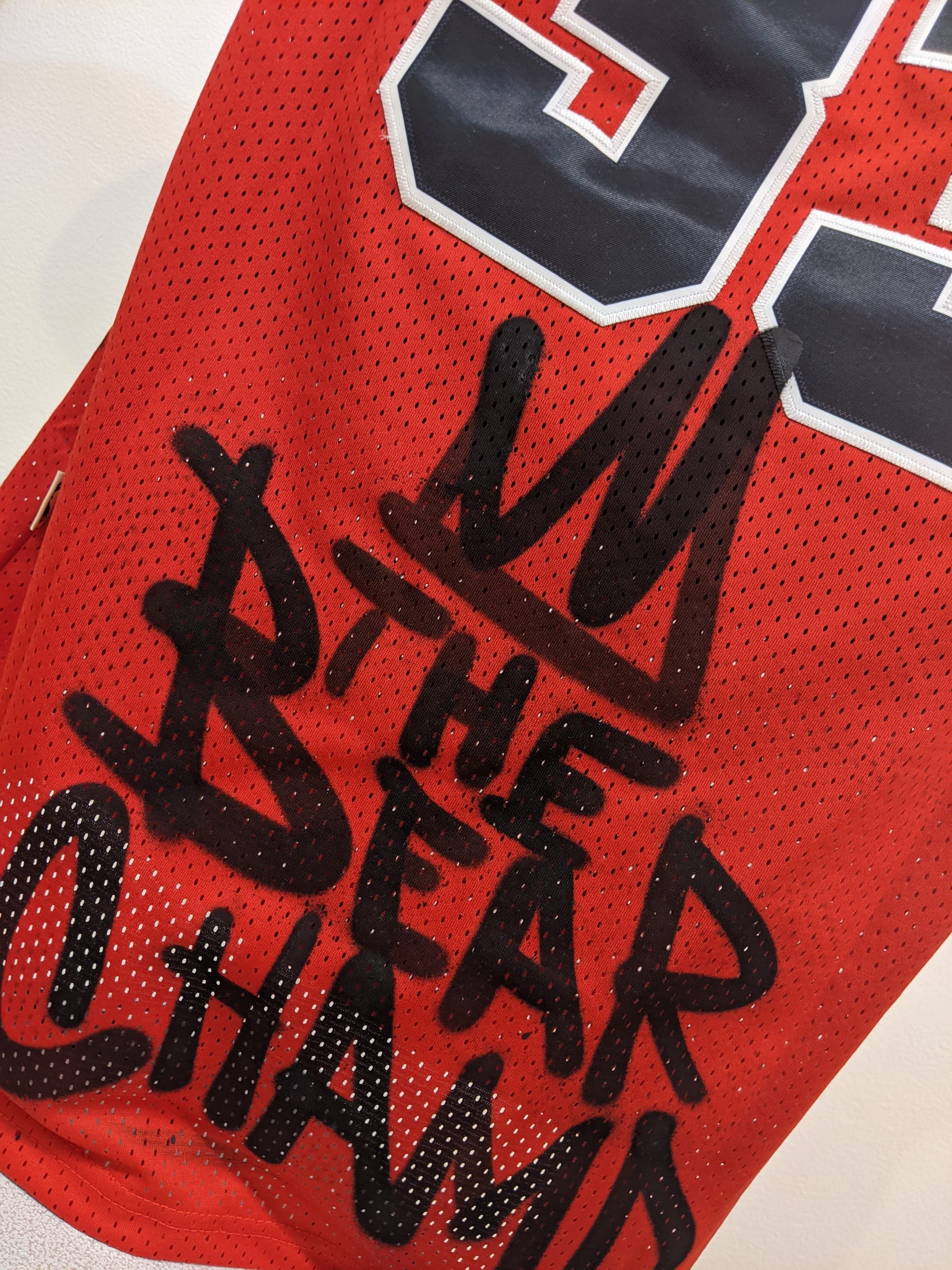 Custom Pippen Jersey by JC Rivera