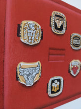 Load image into Gallery viewer, &quot;6 and Counting&quot; by E.LEE
