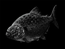 Load image into Gallery viewer, &quot;Piranha&quot; by Janta Island
