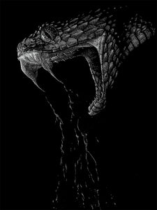 "Snake" by Janta Island