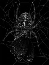 Load image into Gallery viewer, &quot;Spider&quot; by Janta Island
