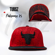 Load image into Gallery viewer, BMO Harris Artist Hat Series - Tubs
