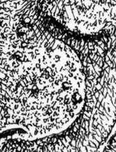 Load image into Gallery viewer, &quot;Face 16&quot; by Anthony Christopher
