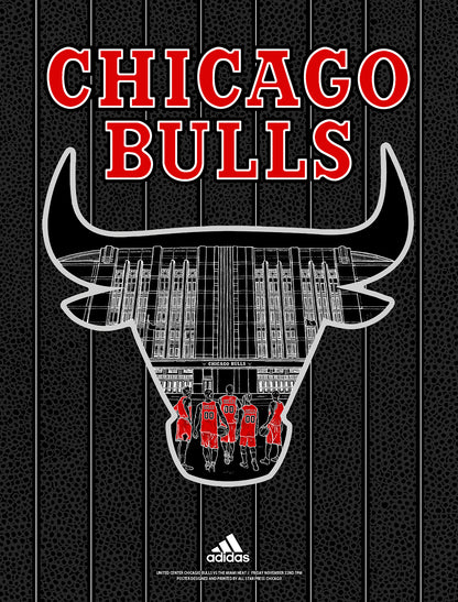 "Officially Licensed Chicago Bulls '19 - '20 Statement" by Zissou Tasseff-Elenkoff