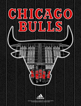 Load image into Gallery viewer, &quot;Officially Licensed Chicago Bulls &#39;19 - &#39;20 Statement&quot; by Zissou Tasseff-Elenkoff
